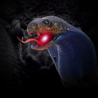 Naja Cobra Infrared Remote Control | INFRARED RC | Toy